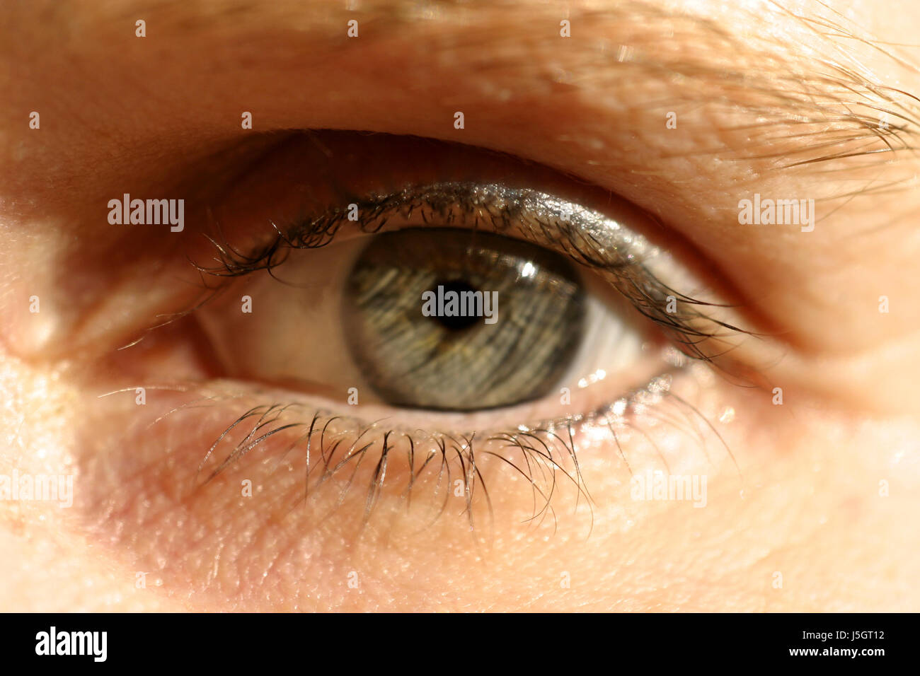 face,eye,organ,skin,eyelash,pupil,retina,mascara,makeup,eyebrow,iris,make up Stock Photo