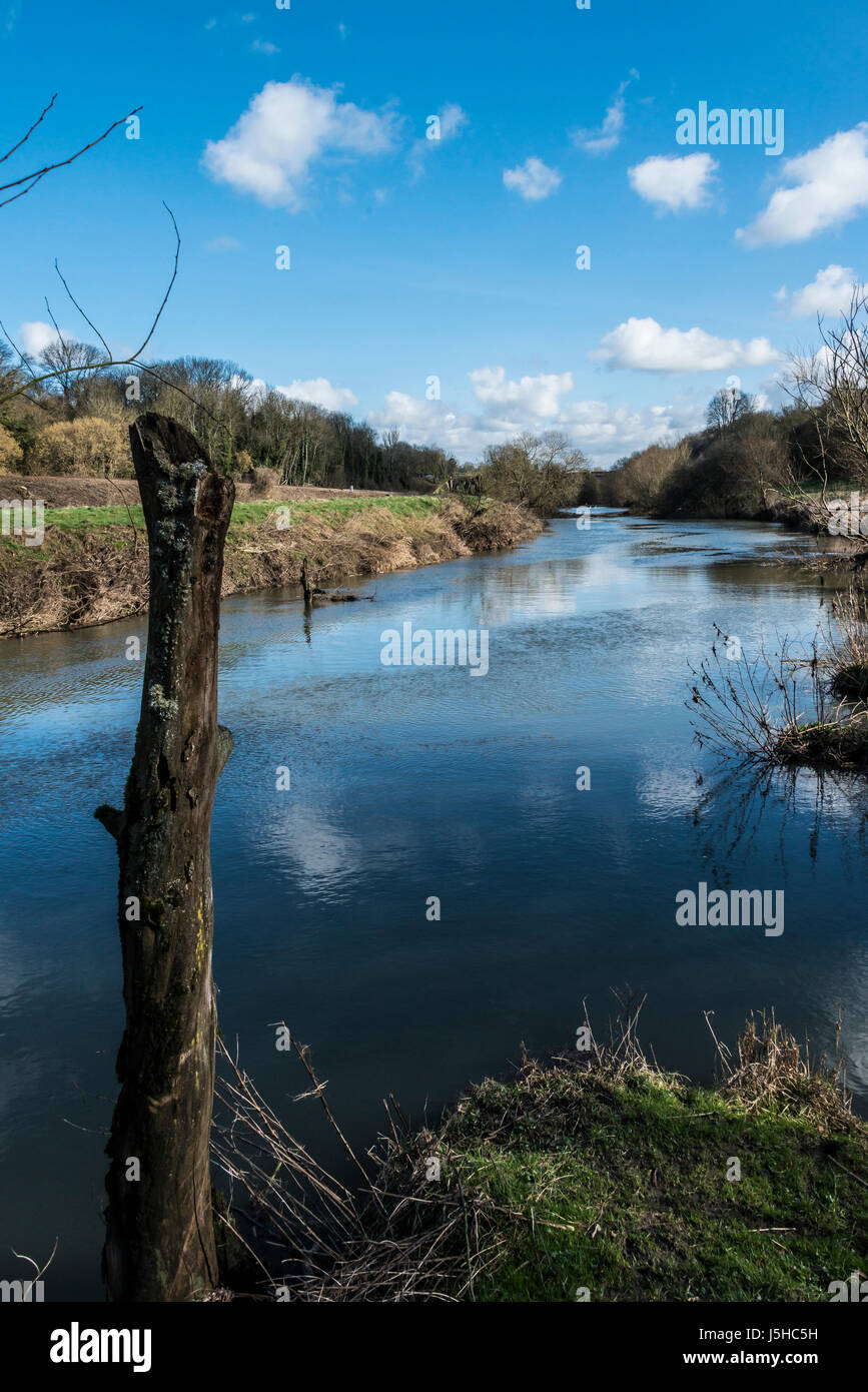 Wiltshire Rivers Avoncliff wiltshire hi-res stock photography and images - Alamy