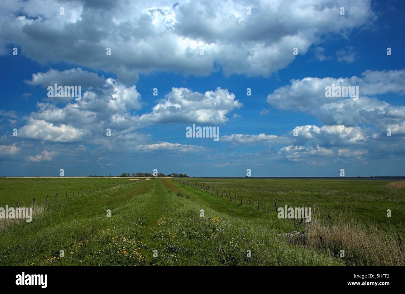 blue horizon green blank european caucasian width spring land realty ground Stock Photo