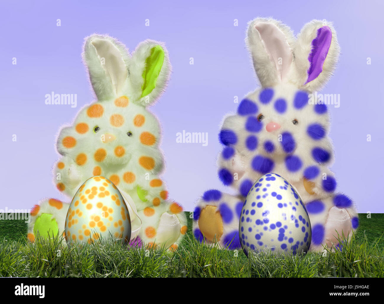 joke affinity witty easter hare brother easterbunny dirty egg funny