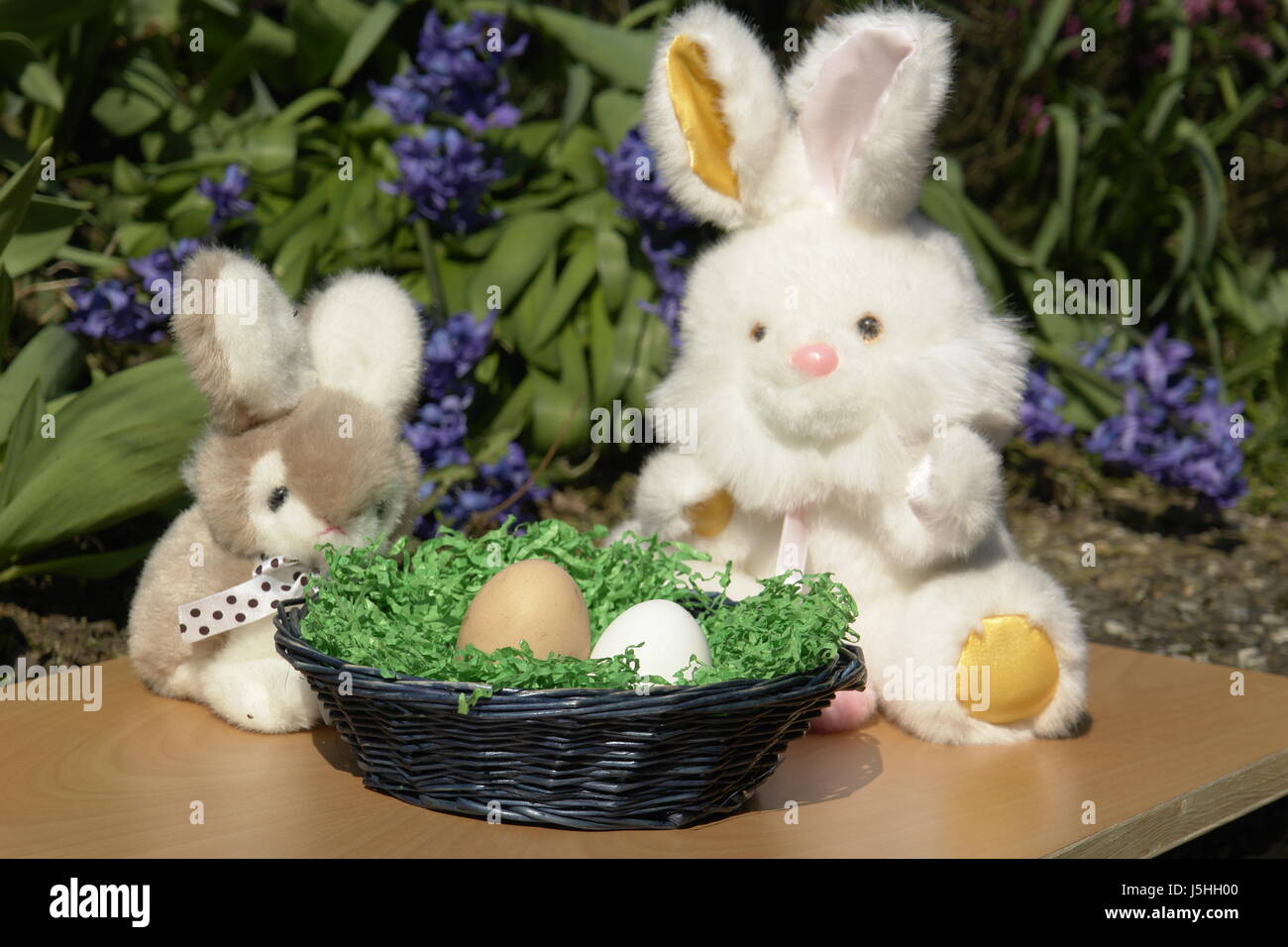 pet skin easter nest hare easter-bunny hay straw Easter eggs ostern snatch Stock Photo