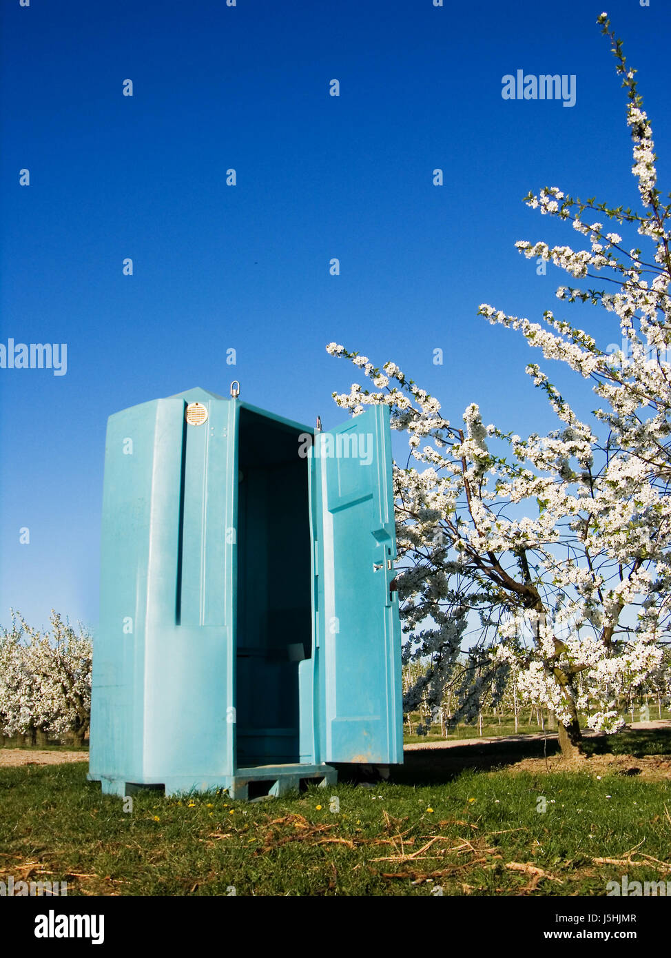 blue mobile cherry blossom hygiene transportable firmament sky toilet dixiklo Stock Photo
