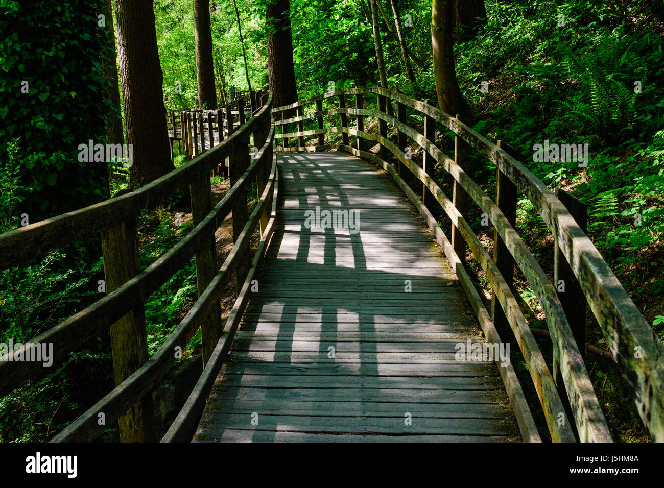 Raised wooden walkway Stock Photo