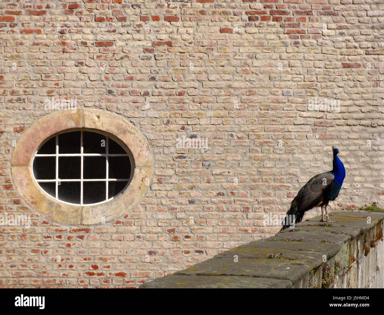 window porthole dormer window pane wall perspective prospect spring ...