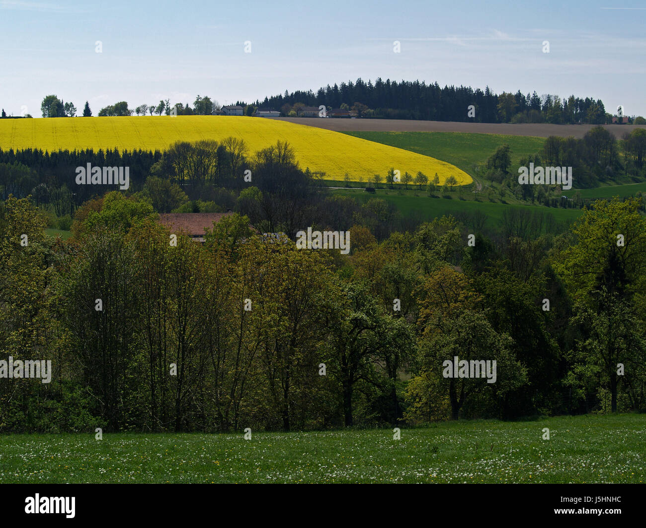 Stock Spring Landscape spring landscape 4 Stock Photo - Alamy