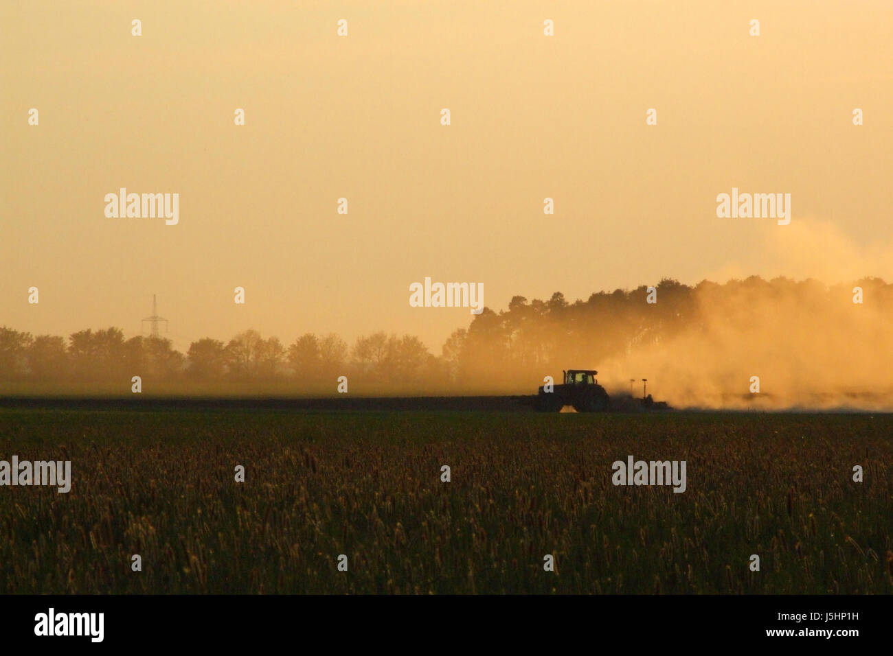agrarian dust agriculture farming dryness drought erosion dry dried up barren Stock Photo