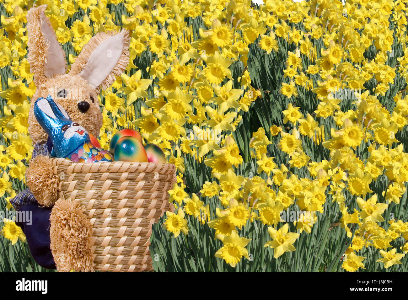 easter hare easter-bunny eggs colour Easter eggs basket colors colours bunny Stock Photo