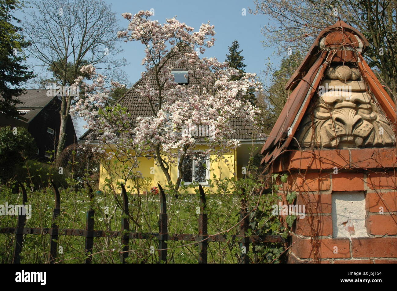 House Building Tree Trees Garden Berlin Fence Magnolia Gardens