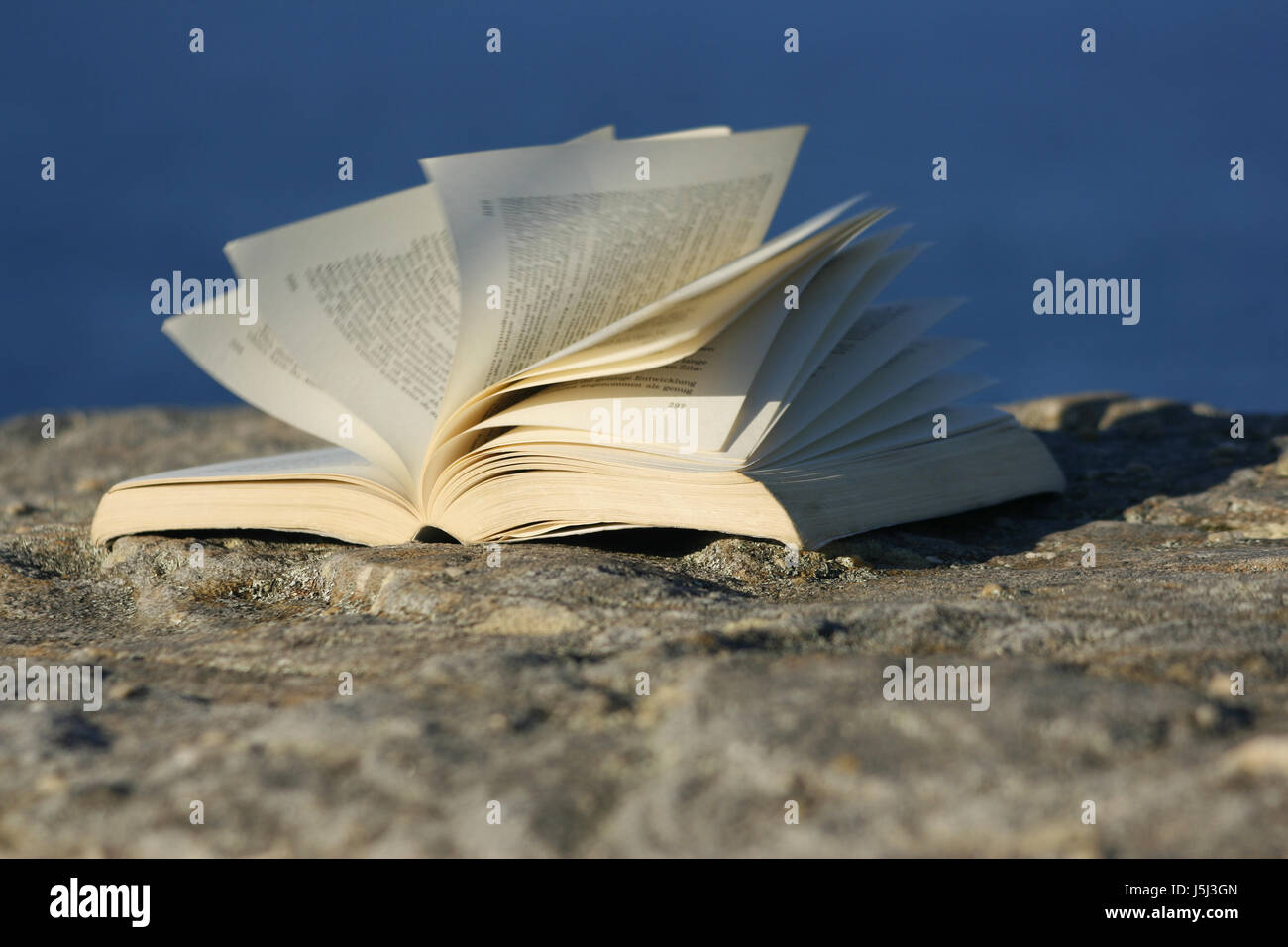 lie lying lies radio silence quietness silence wall blow rest reading