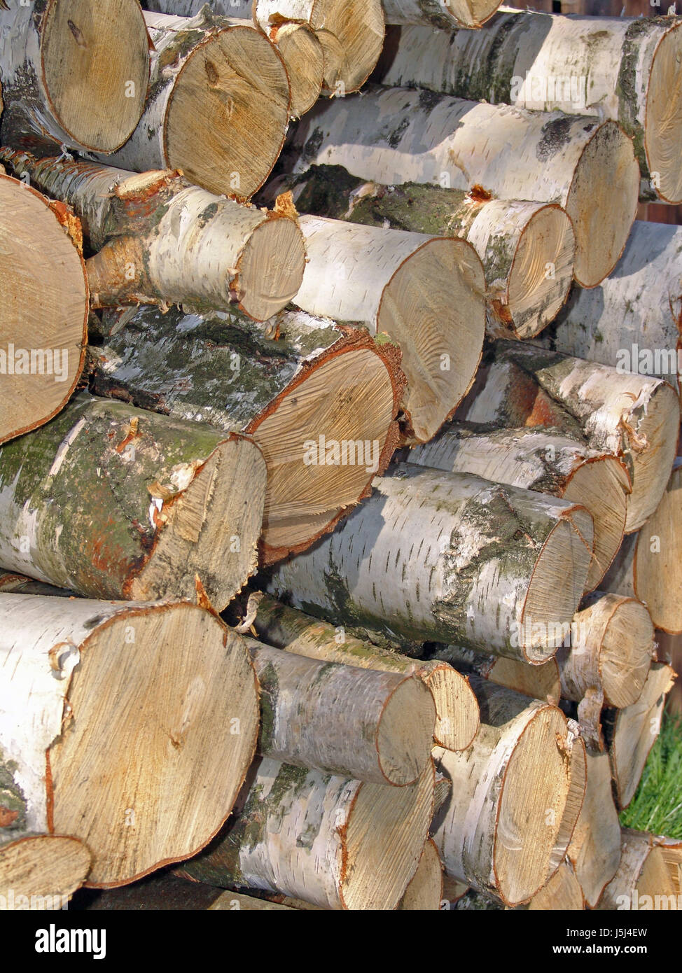 wood raw material stacked portrait format birch sawn firewood fuel said Stock Photo