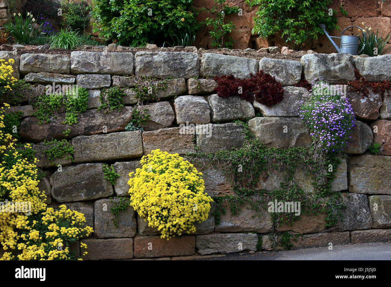 garden flower flowers plant wall stonewall gardens rectangular prism