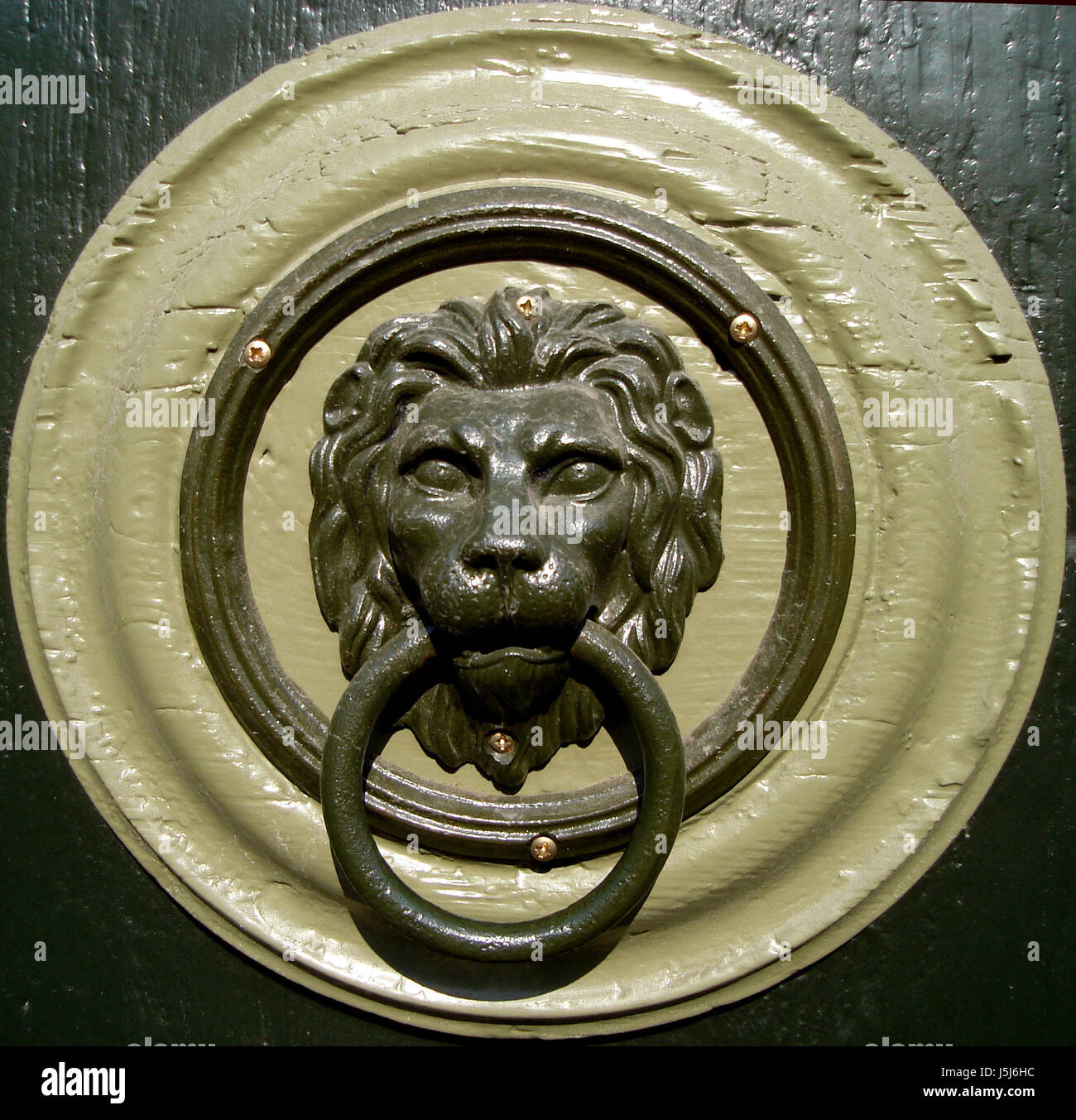 metal handle in the form of a lion's head with a ring on the forged gate  close-up Stock Photo - Alamy