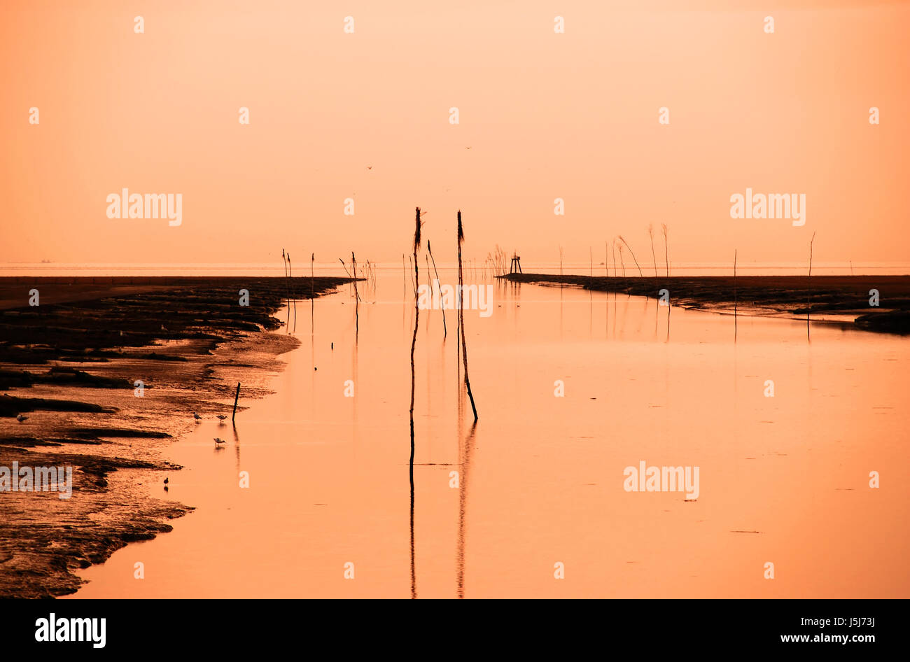 sunset beach seaside the beach seashore water north sea salt water sea