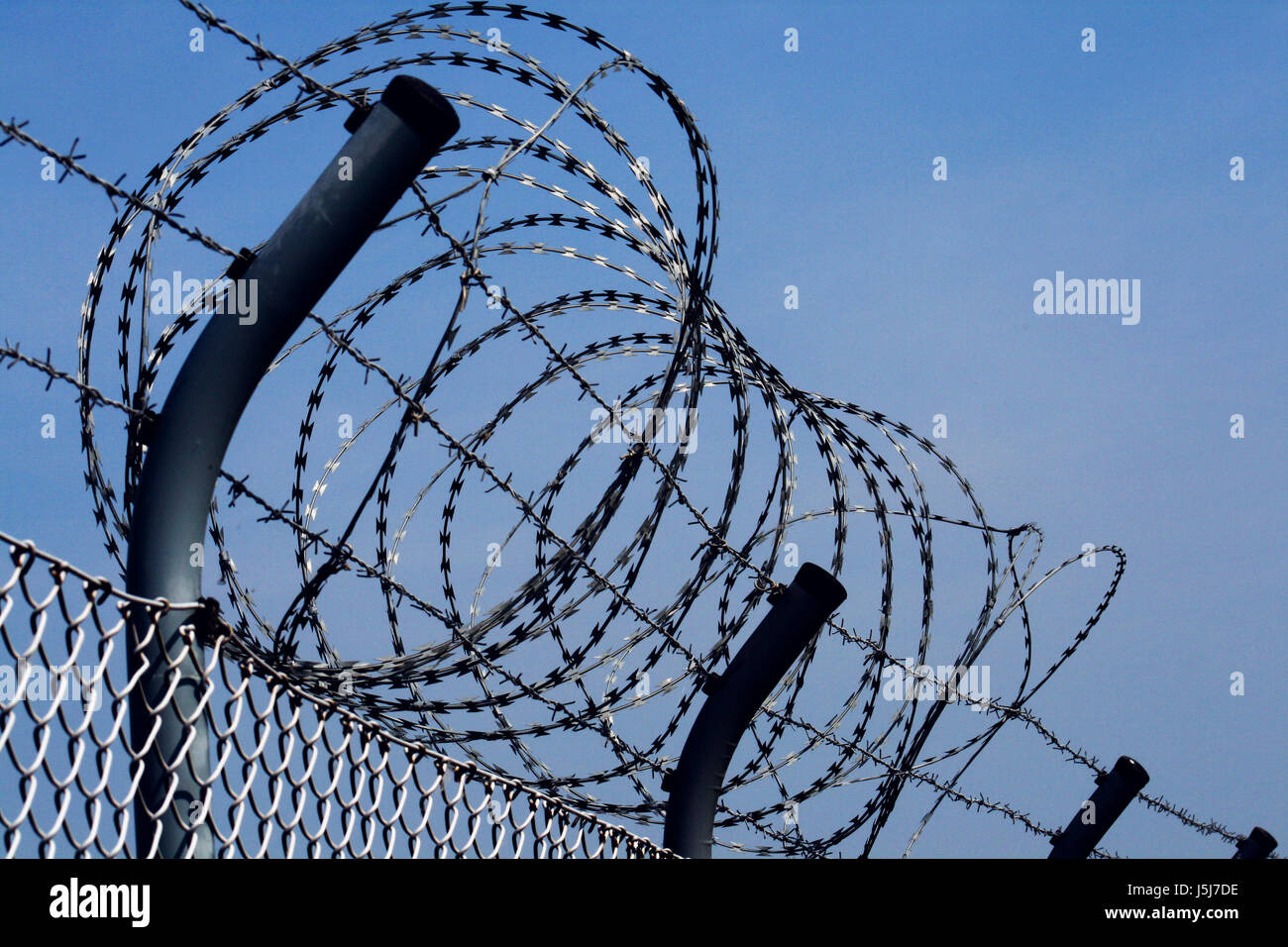thorns fence sting wire zone barbed wire rolled hurt illegal prohibited