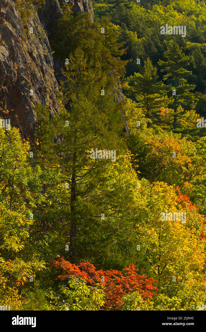 Porcupine Mountains Wilderness cliff view of the wilderness in fall. Michigan. USA Stock Photo