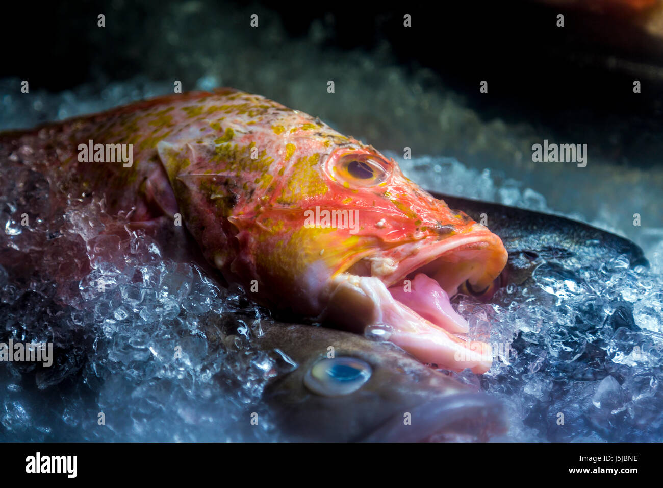 Fresh fish in crushed ice at a stall Stock Photo