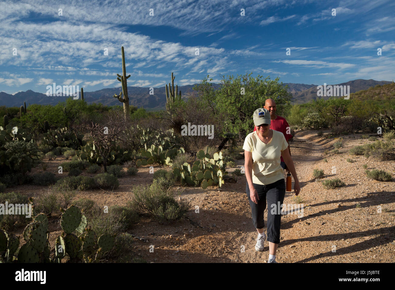 Tucson, Arizona - Hikers in the Cactus Forest in the Rincon Mountain District of Saguaro National Park. Stock Photo