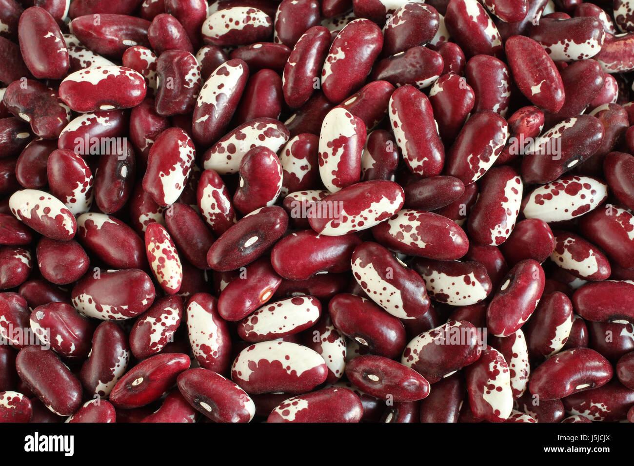 Food background raw red with white speckled kidney beans Stock Photo