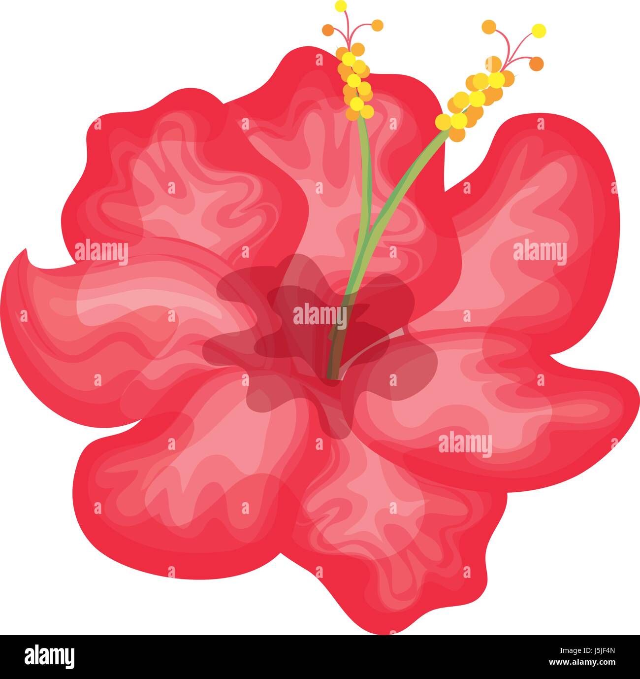 tropical flower decorative icon Stock Vector Image & Art - Alamy