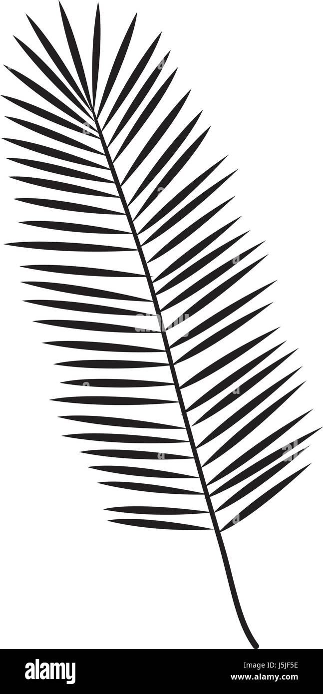 tropical leafs decorative icon Stock Vector Image & Art - Alamy