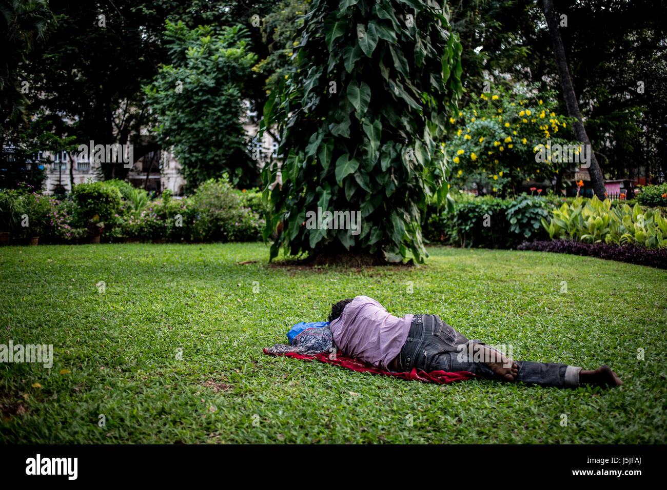 An Indian man taking a nap in a park during the hot hours. Stock Photo