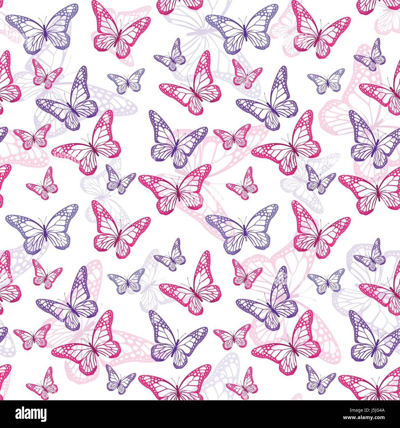 Colorful Butterflies Vector Background for Spring Elements. Editable ...