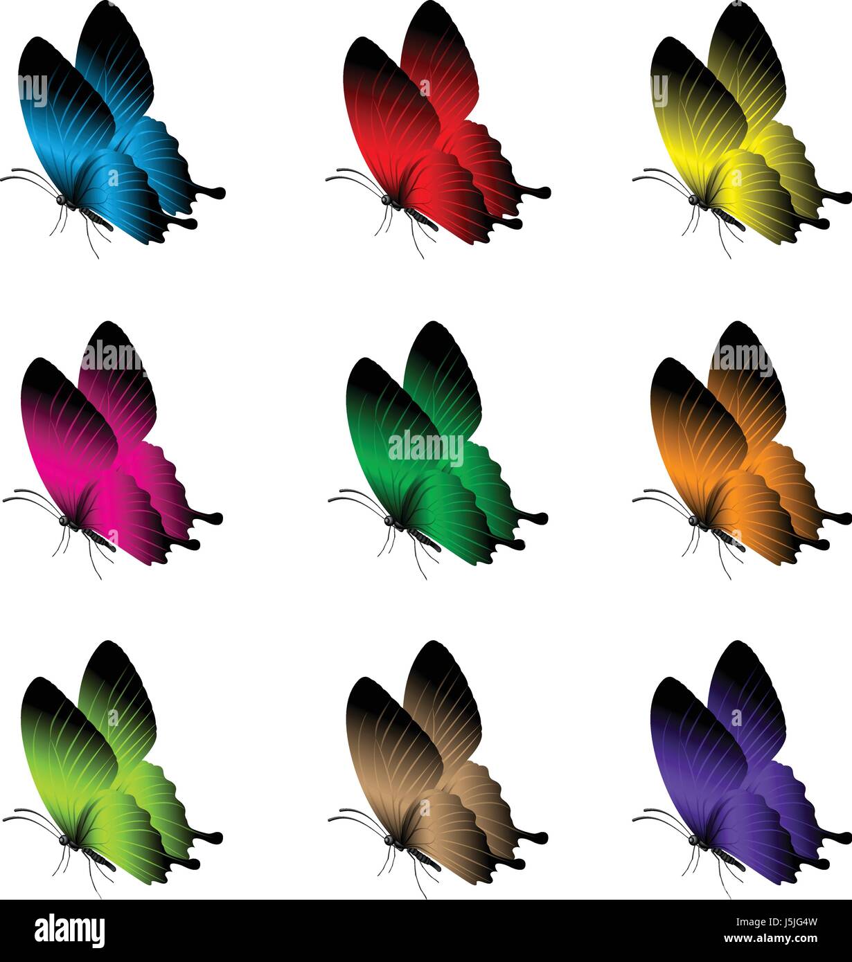 Vector Set of Realistic Colorful Butterflies Isolated for Spring ...