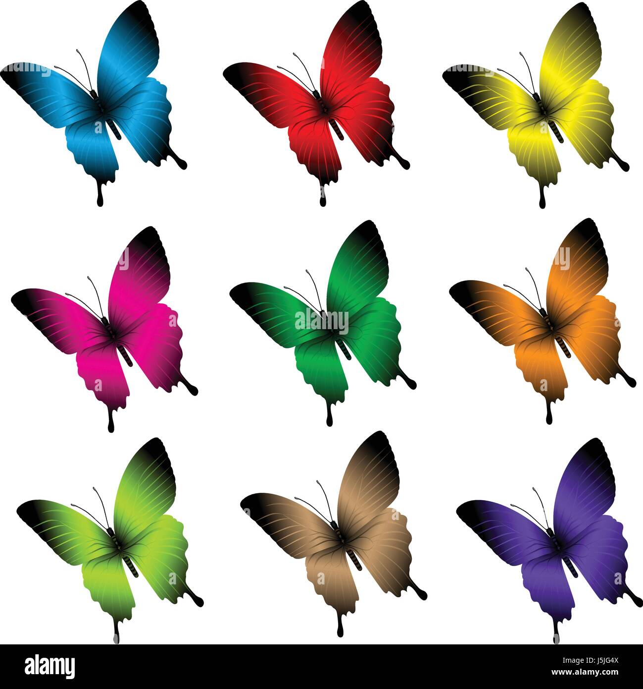 Vector Set of Realistic Colorful Butterflies Isolated for Spring ...