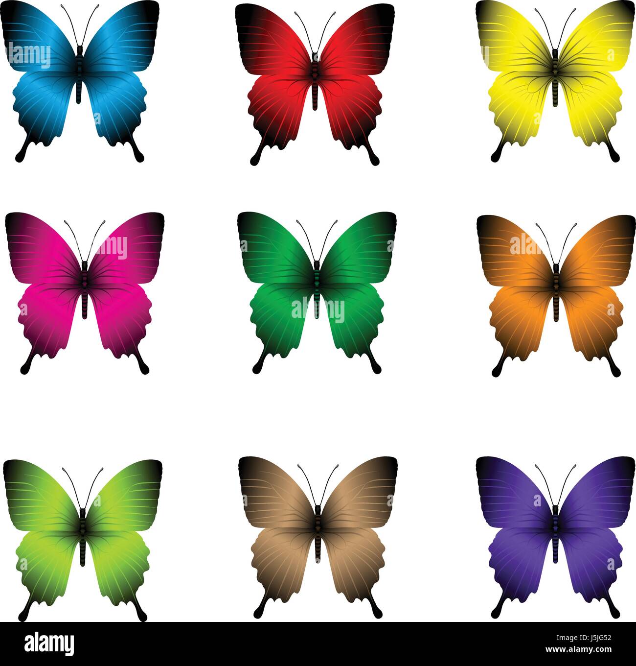 Vector Set of Realistic Colorful Butterflies Isolated for Spring ...
