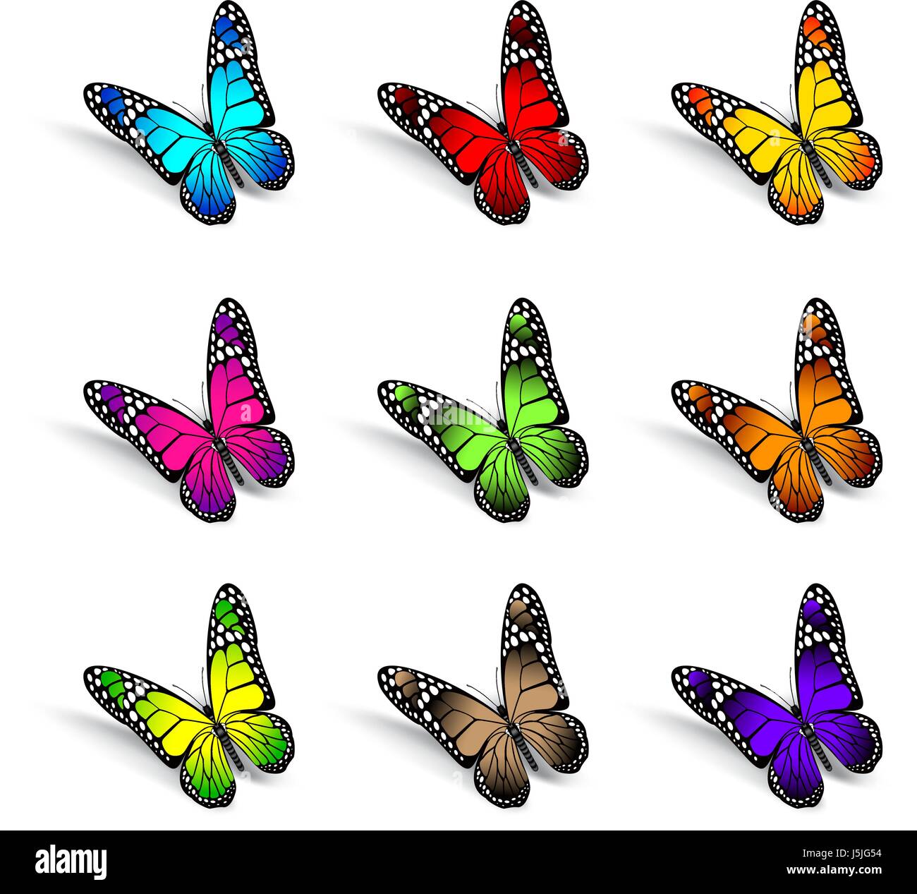 Vector Set of Realistic Colorful Butterflies Isolated for Spring ...