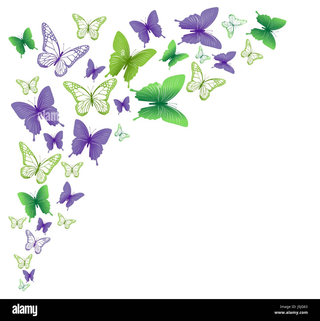 Colorful Butterflies Vector Background for Spring Elements. Editable ...