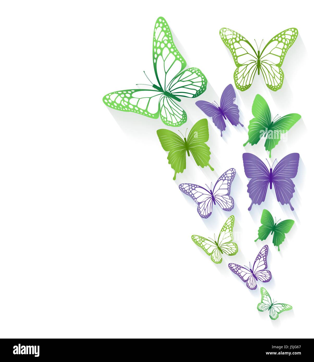 Colorful Butterflies Vector Background for Spring Elements. Editable ...