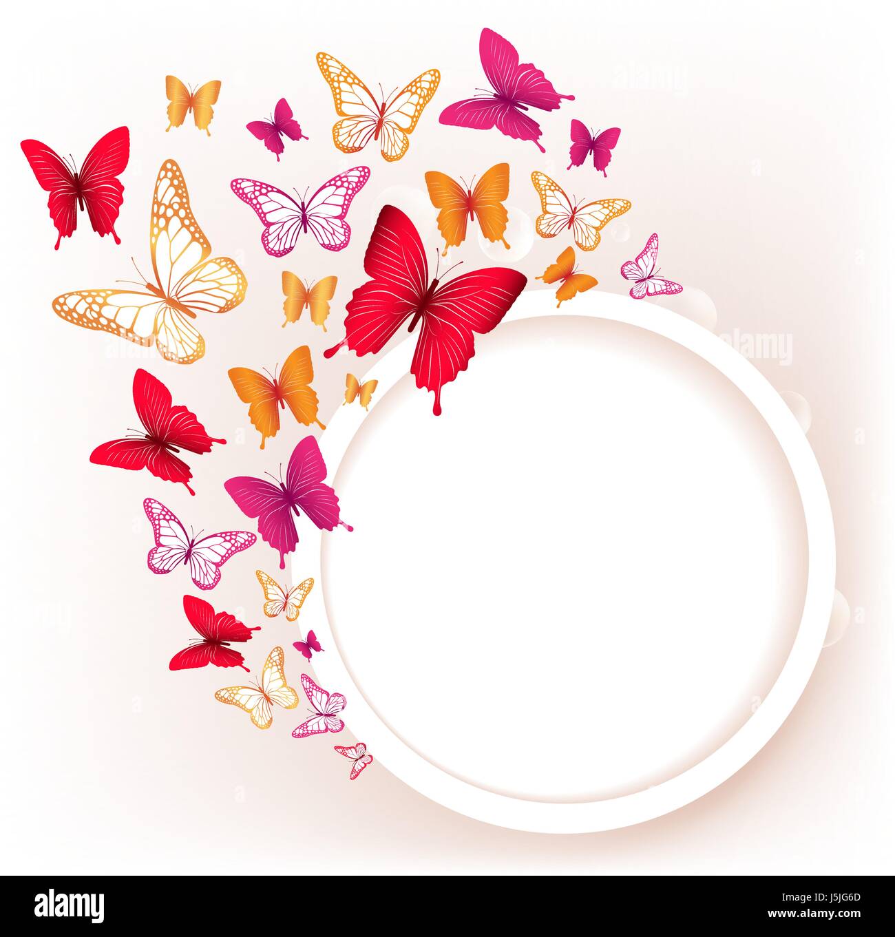 Colorful Butterflies Vector Background for Spring Elements. Editable ...