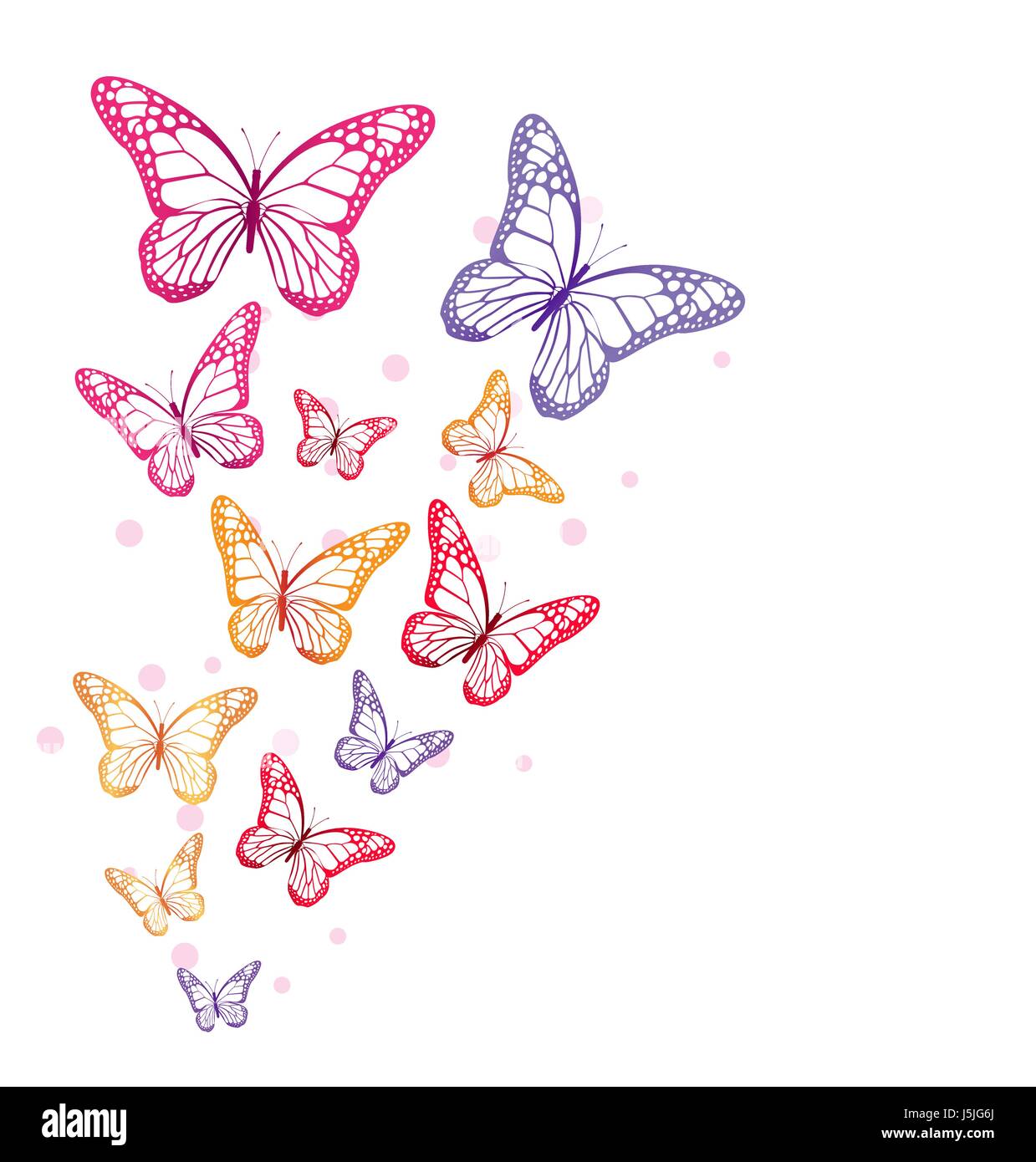 Colorful Butterflies Vector Background for Spring Elements. Editable ...