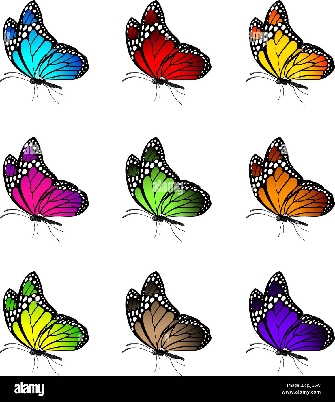 Vector Set of Realistic Colorful Butterflies Isolated for Spring ...