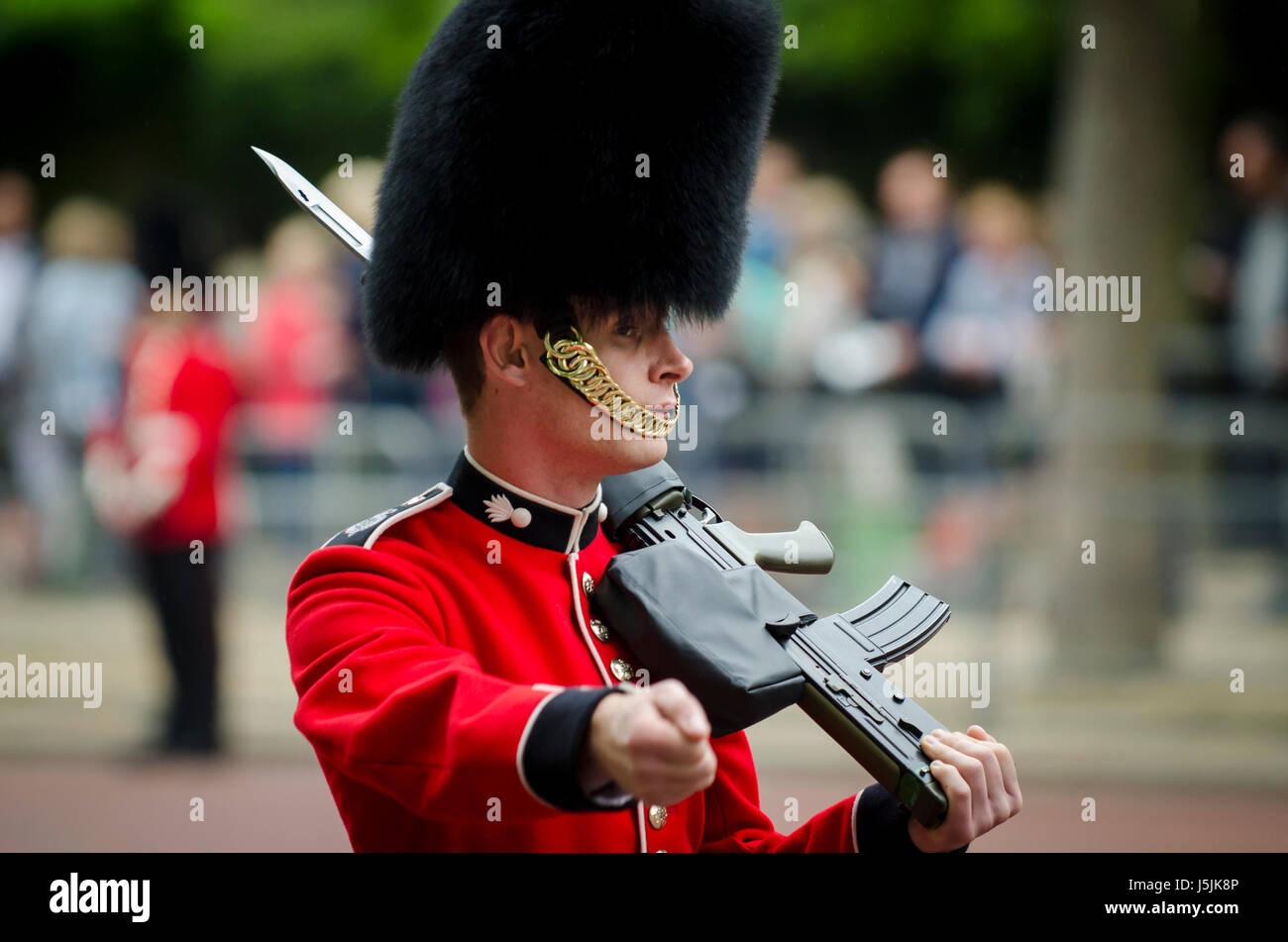 LONDON - JUNE 13, 2015: Royal guard in traditional red coat and bear fur busby hat marches down the Mall holding his rifle in a parade of pageantry. Stock Photo