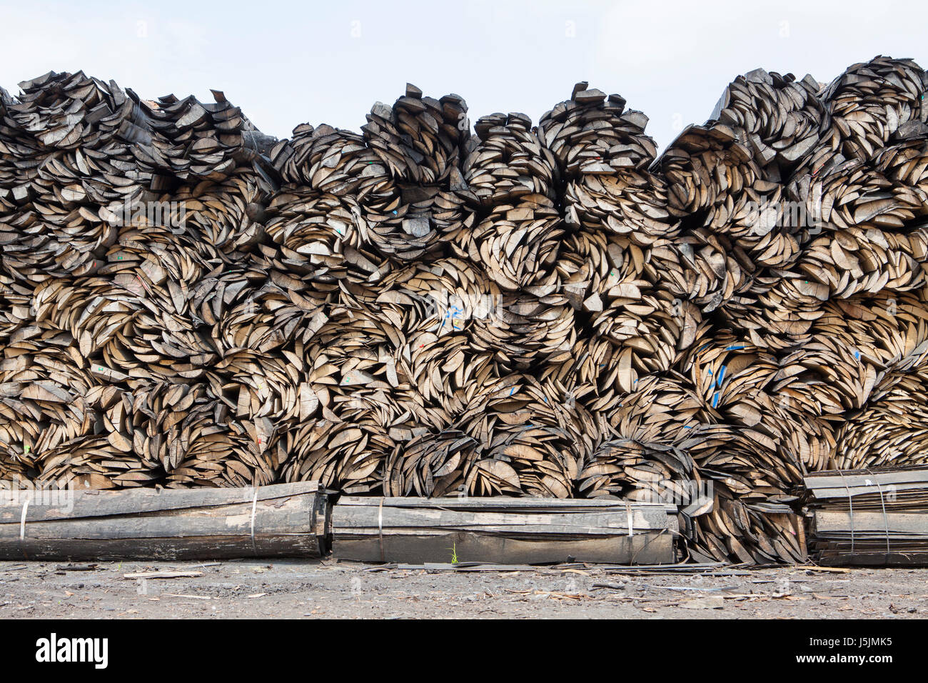 Pile of beech wood, Germany Stock Photo