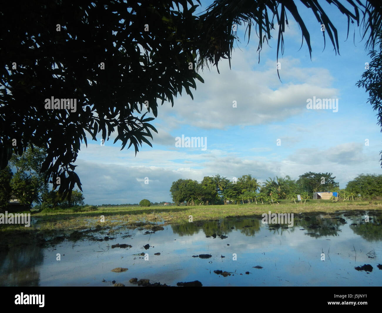 Scenery Rural Manilla The image represents the rural landscape of Sitio Hulo, located in ...