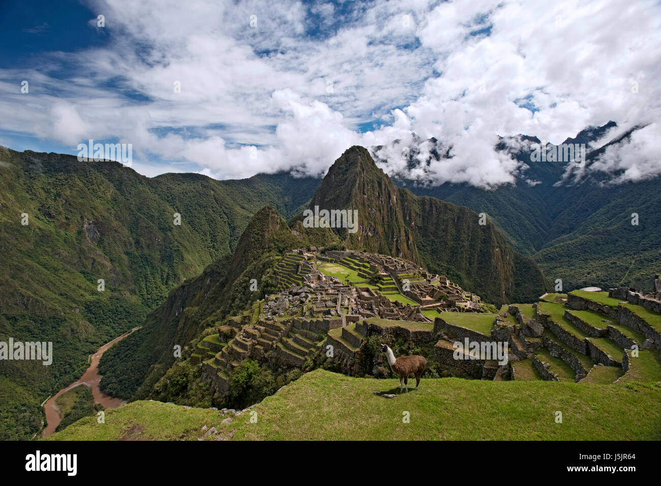 The ruins of Machu Picchu, Peru Stock Photo