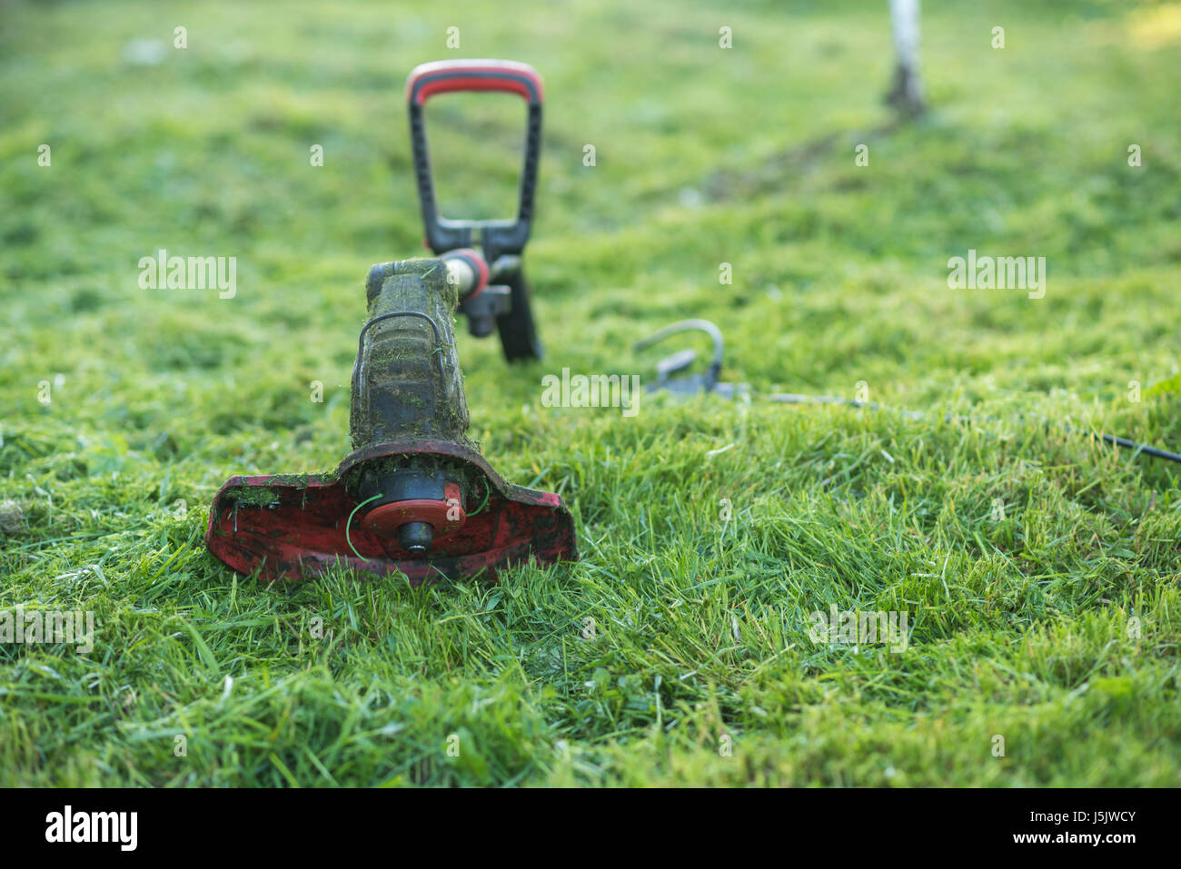 String trimmer lies on mown lawn middle of the yard, tool Stock Photo