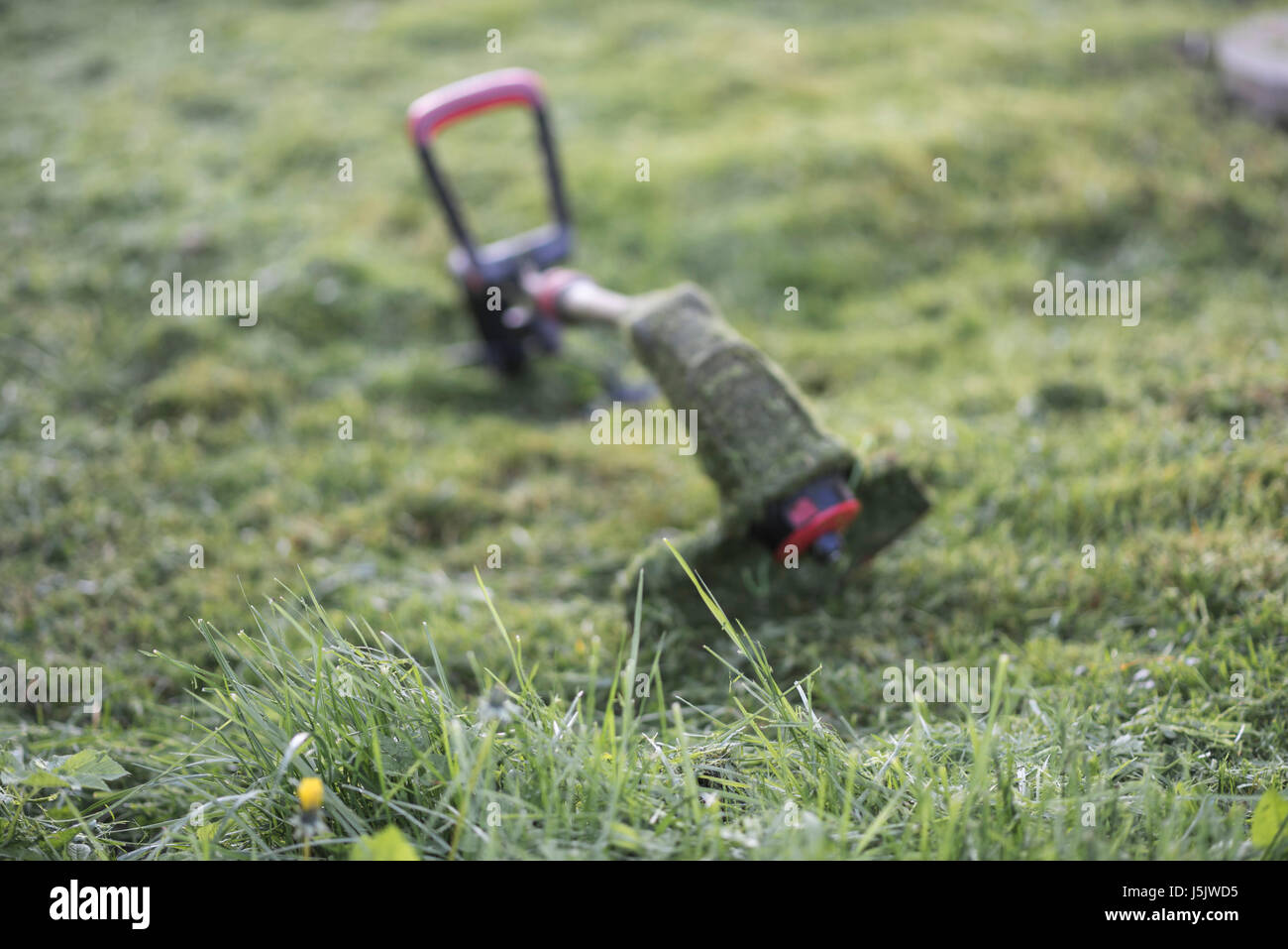 String trimmer lies on mown lawn middle of the yard, tool Stock Photo