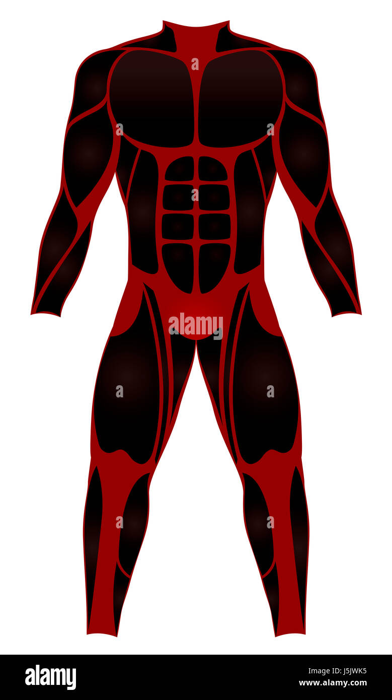Divers suit, muscle optics - red black wetsuit for water sports - or to be worn as a hero costume - illustration on white background. Stock Photo
