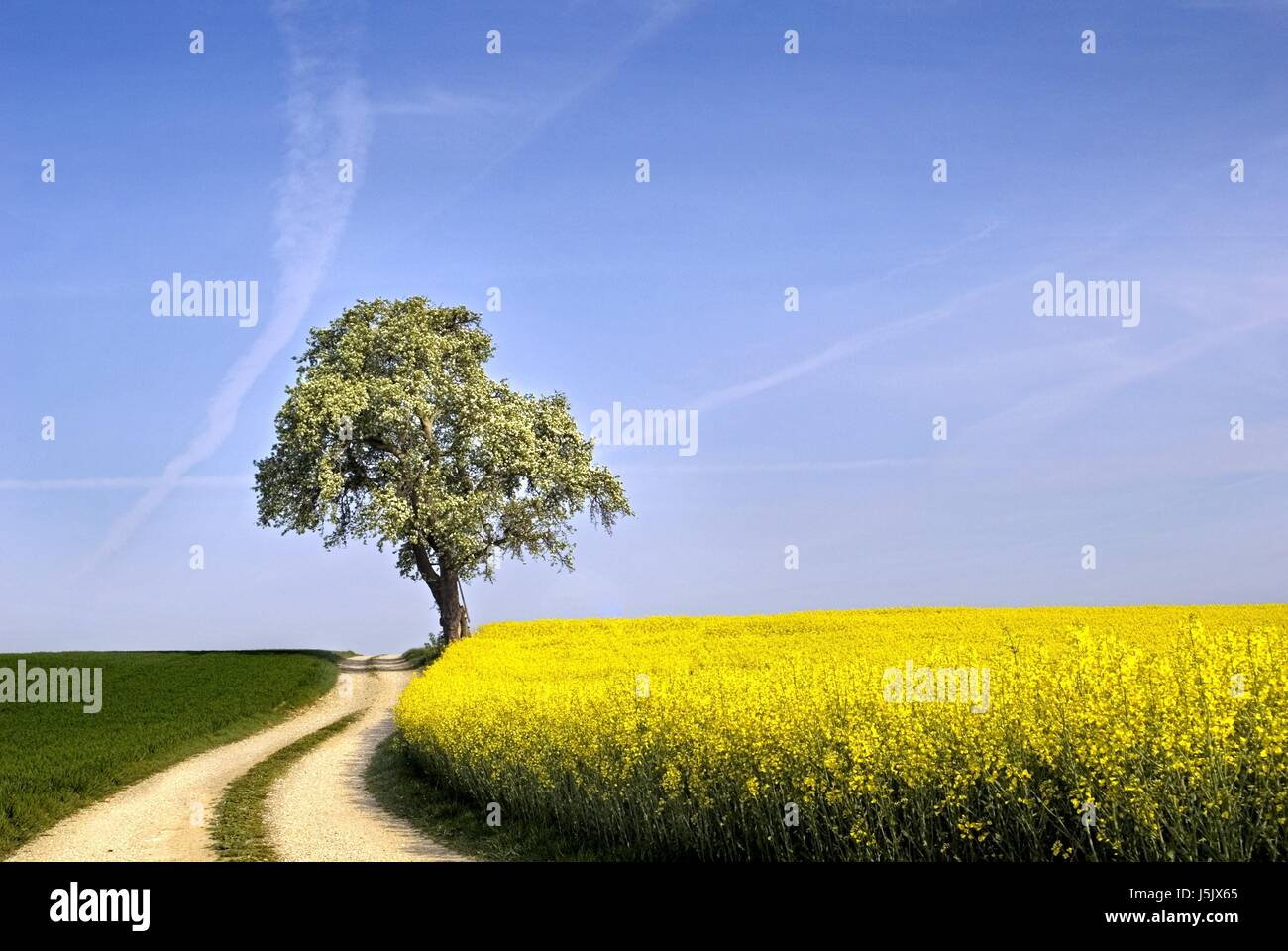 Stock Spring Landscape spring landscape ii Stock Photo - Alamy