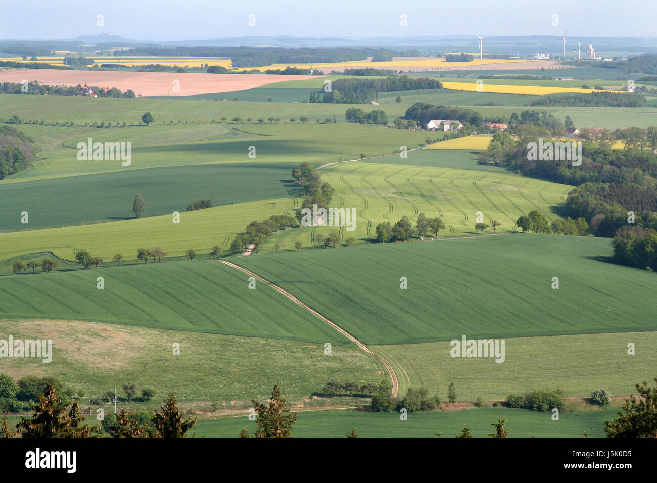 green coleseed spring fields meadows saxony sight view outlook perspective Stock Photo