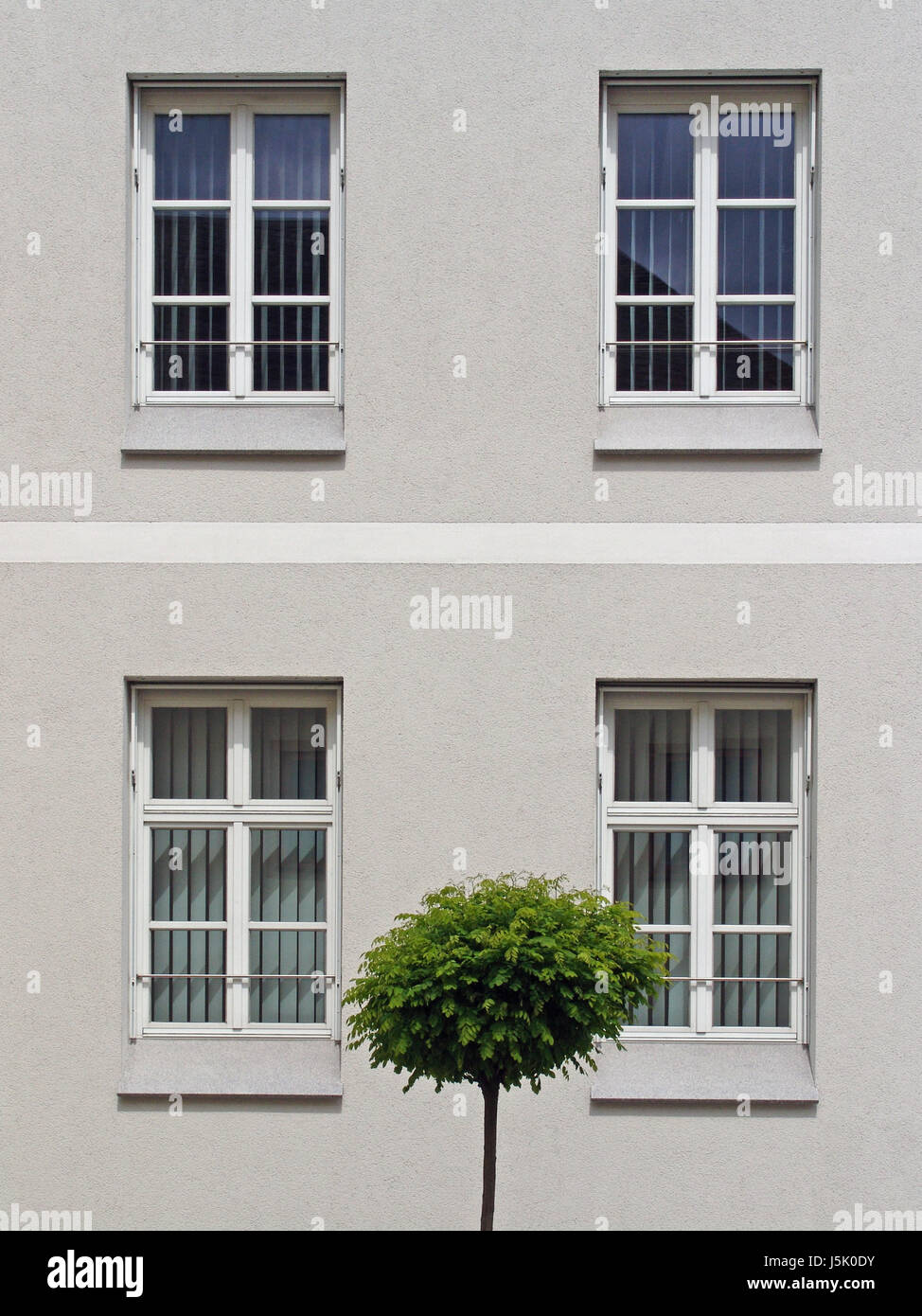 house building tree green window porthole dormer window pane sad facade dreary Stock Photo