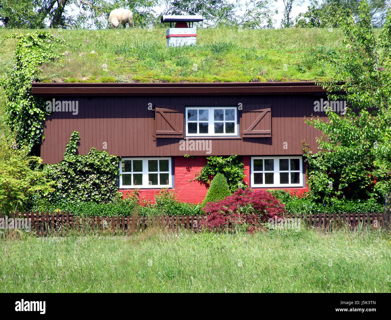 lust addiction tendency sheep moss shutters idyllic dike idyll shutter Stock Photo