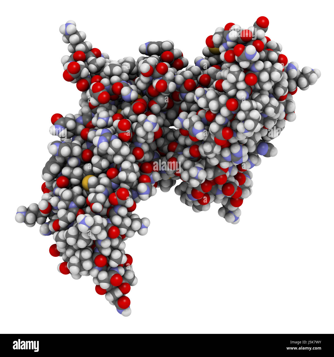 Activin A protein. Stimulates FSH secretion and plays role in ...