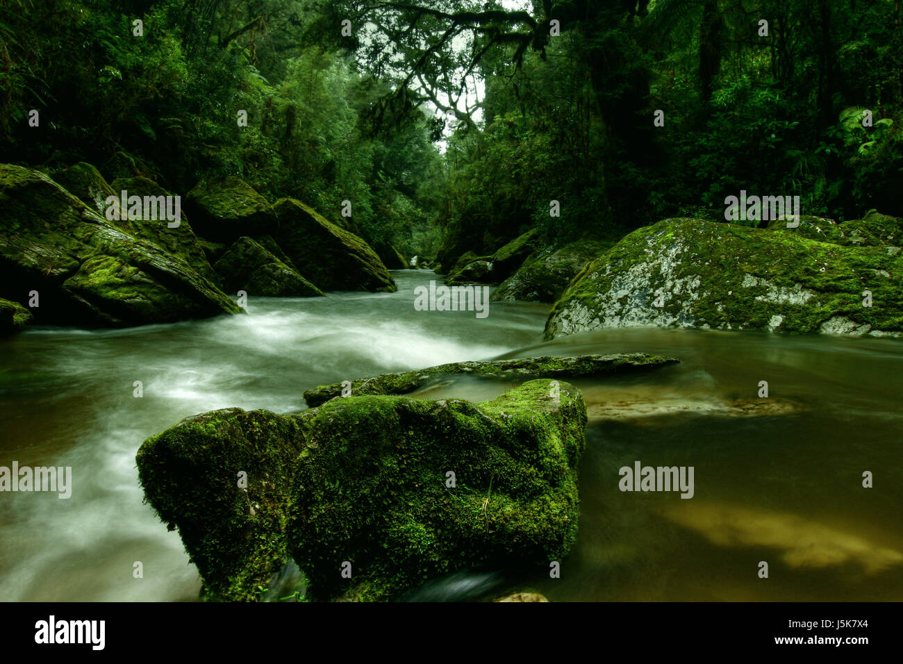environment enviroment green radio silence quietness silence stream Stock Photo