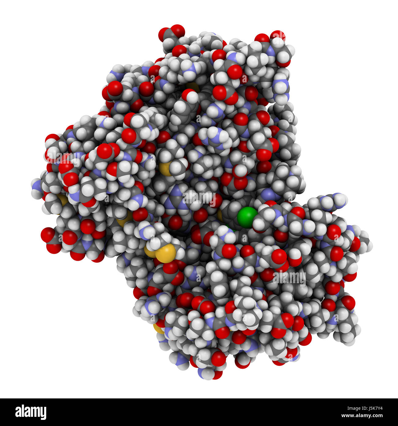 Anaplastic lymphoma kinase (ALK, tyrosine kinase domain) protein. Shown in complex with the inhibitor crizotinib. 3D rendering. Stock Photo