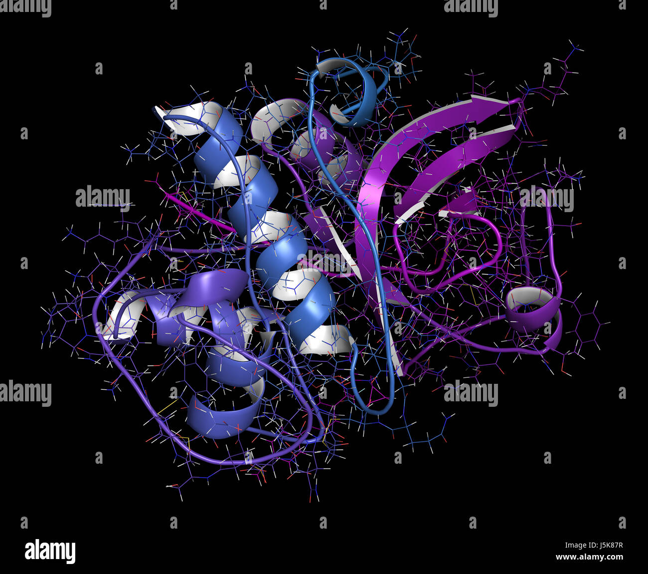 Entry enzyme hi-res stock photography and images - Alamy